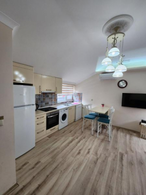 esa apartman 4